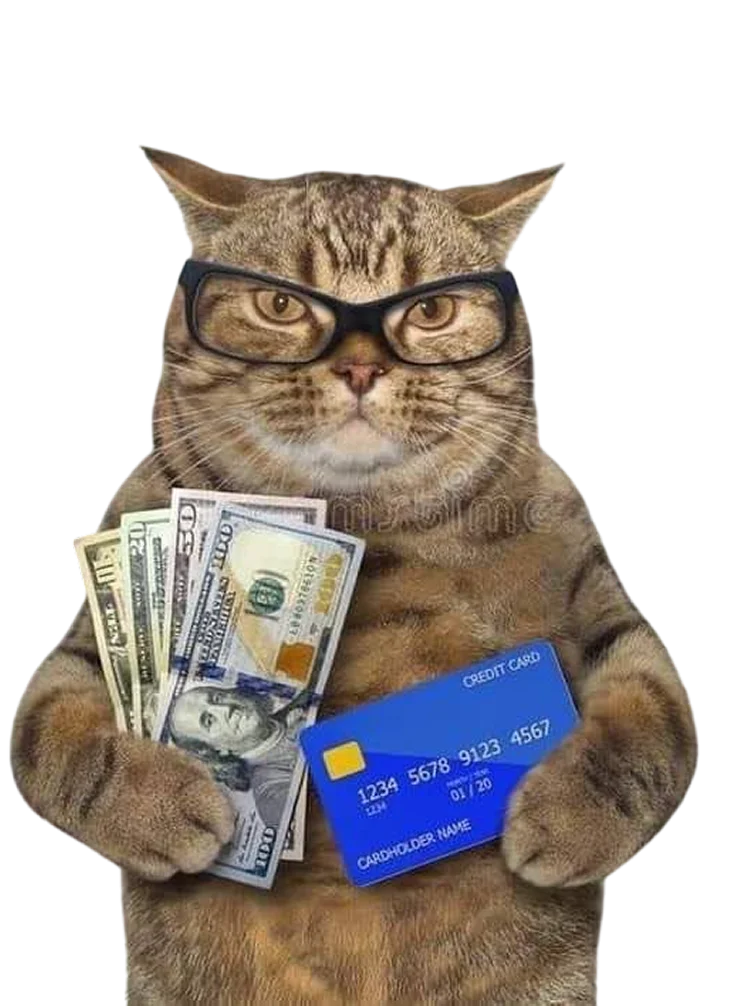 cat-money