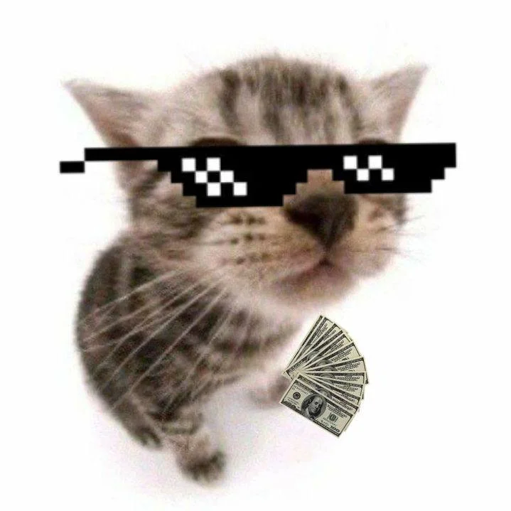 Кот с долларами